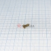 2-310.01.016  11652-80 -  |   