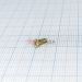  .2,5-6gx5.68.016  1491-80 -  |   