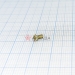  .2-6gx4.36.019  1491-80 -  |   