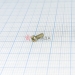  .2-6gx6.36.019  1491-80 -  |   