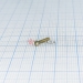  .1,6-6gx8.48.016  17473-80 -  |   