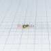  .1,6-6gx4.48.019  17473-80 -  |   