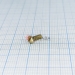  .2,5-6gx7.46.013  17473-80 -  |   