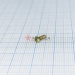  .2-6gx6.68.016  17473-80 -  |   