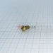  .6-6gx10.68.013  17473-80 -  |   