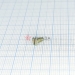  .2,5-6gx6.68.013  17475-80 -  |   